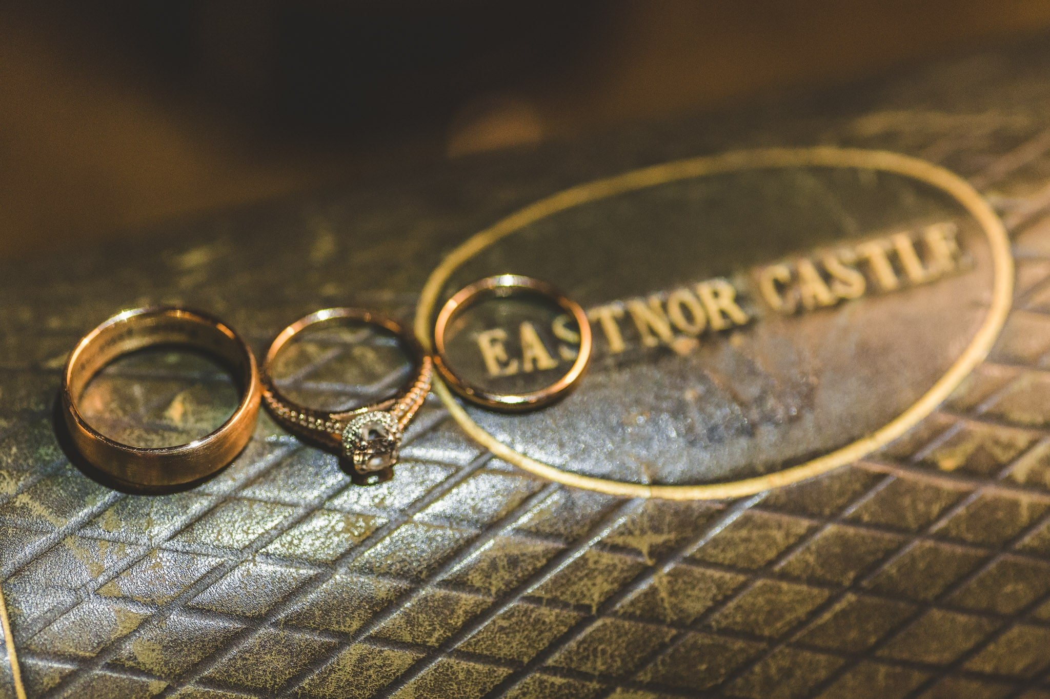eastnor-castle-wedding-photography (99)
